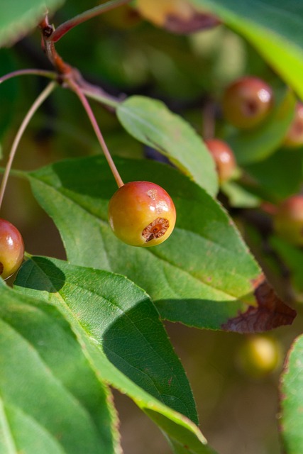 的交易展开 的交易展开