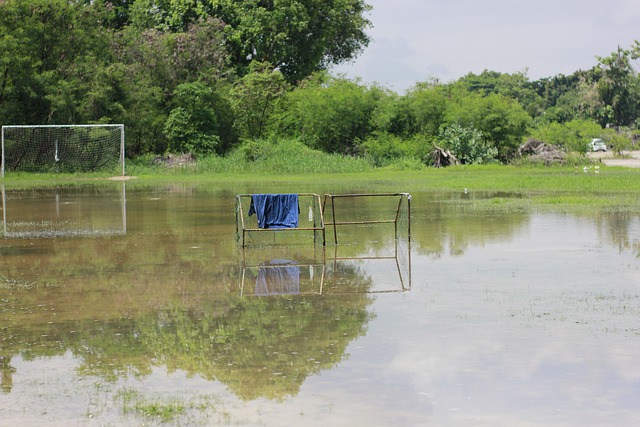 保持优异的 保持优异的