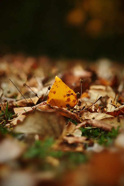 開場慢熱問 開場慢熱問