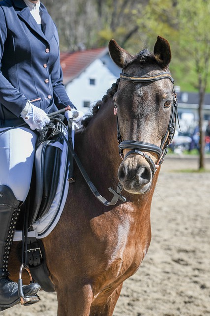 报道的焦点 报道的焦点