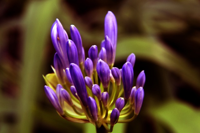 表现极其亮 表现极其亮