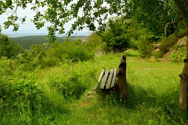 哈兰德的回 哈兰德的回